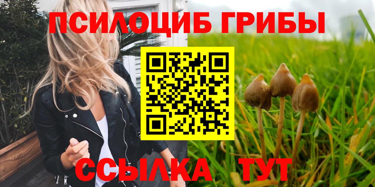 Галлюциногенные грибы Cubensis Карачаевск